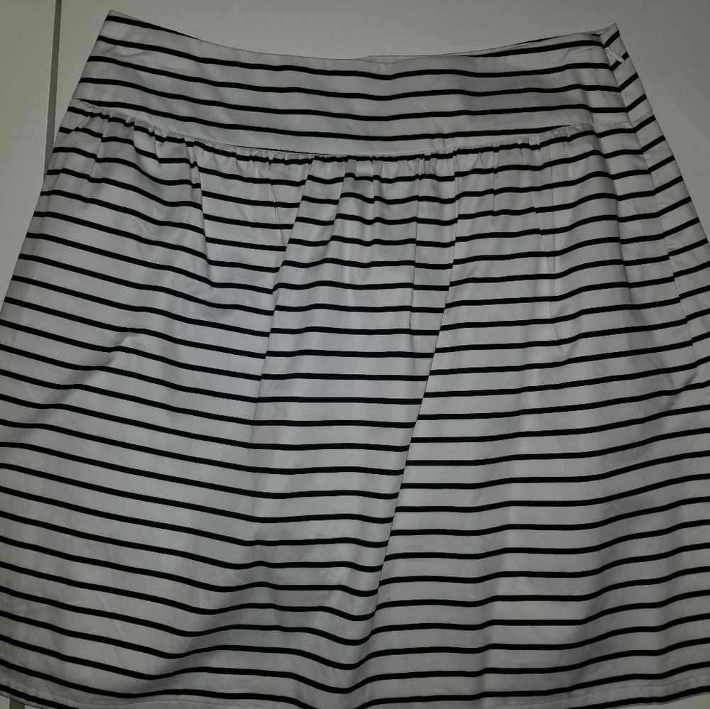 Navy stripe Skirt